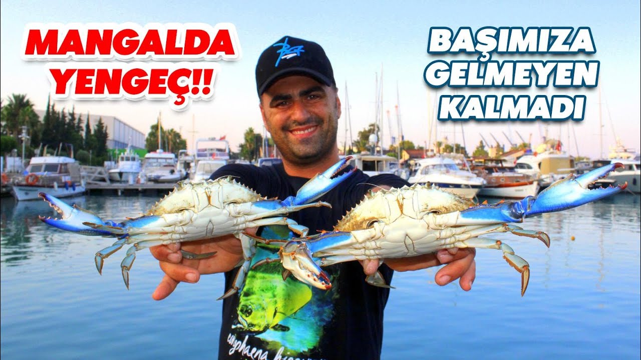 Yengeç Yakalayıp Mangalda Pişirdik / Başımıza Neler Geldi?