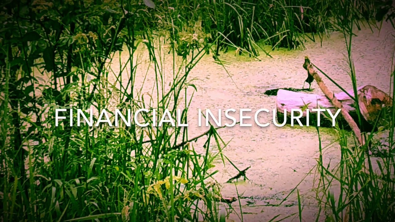 Financial insecurity