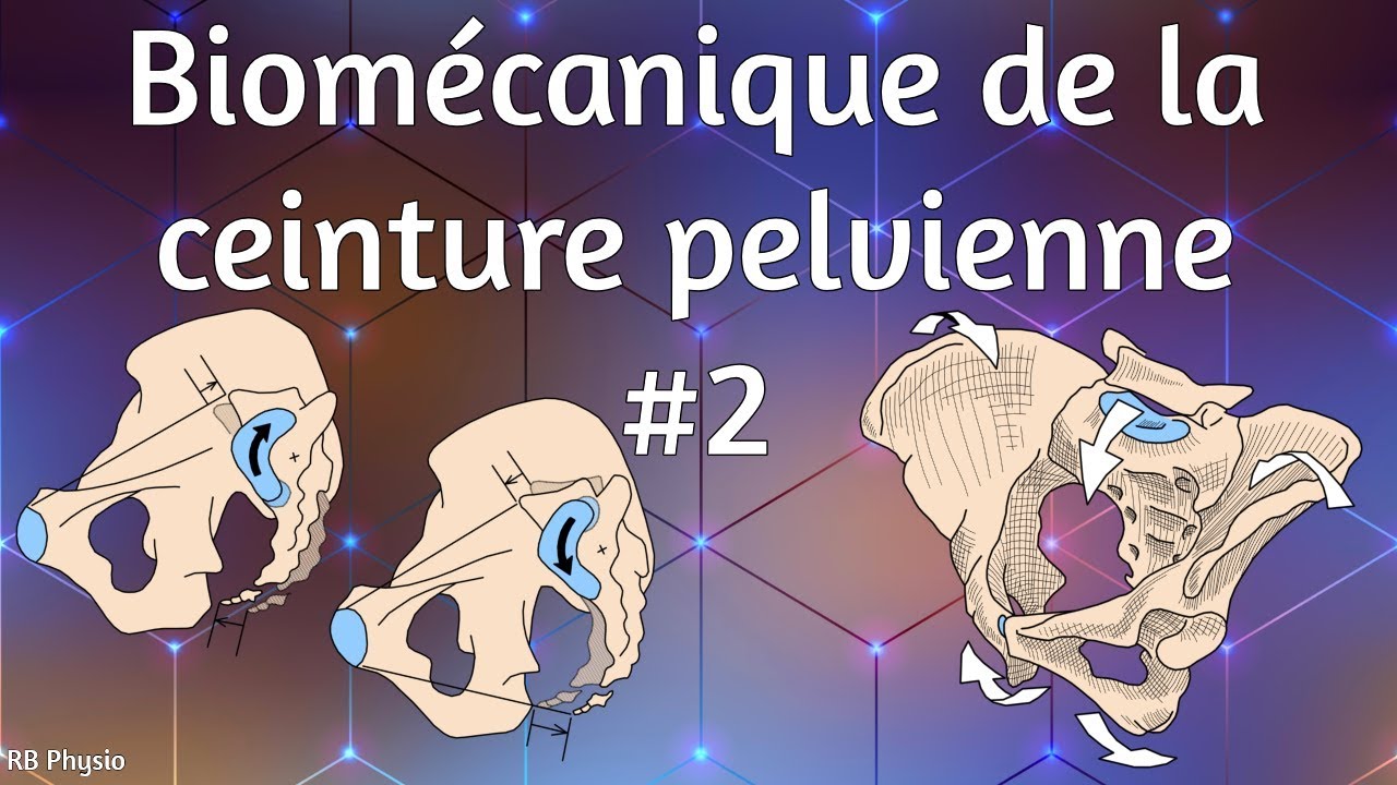 Biomécanique de la ceinture pelvienne #2 - Nutation & Contre-nutation