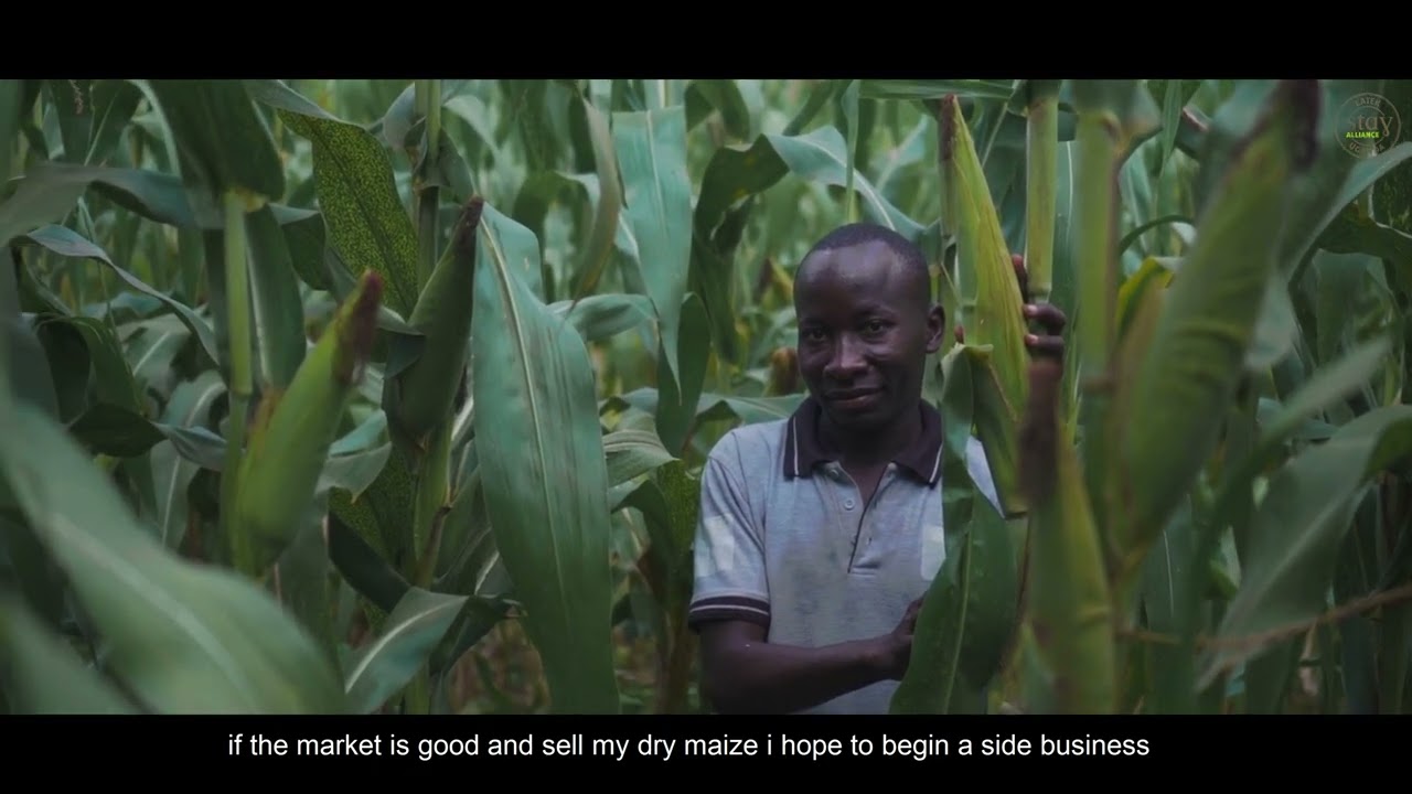 Stories from the field