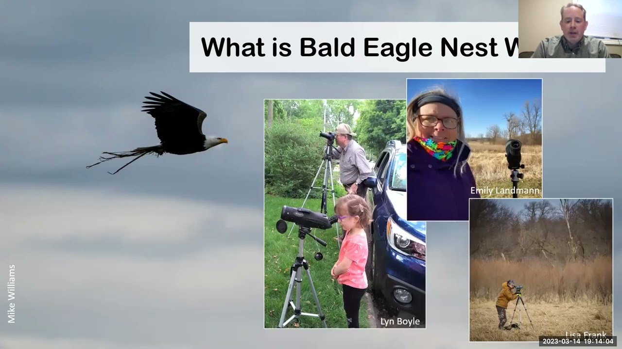 Raptor Talk: hawks, eagles, kestrels, & more