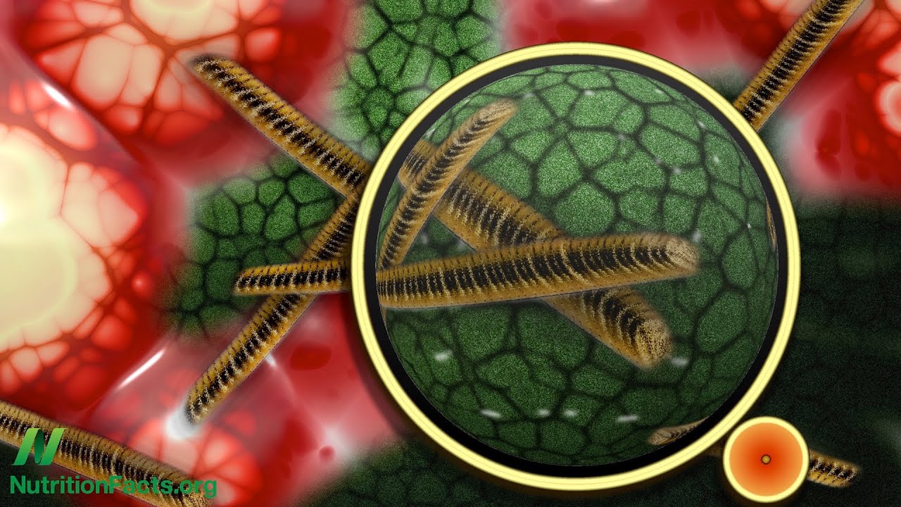 What’s Your Gut Microbiome Enterotype?