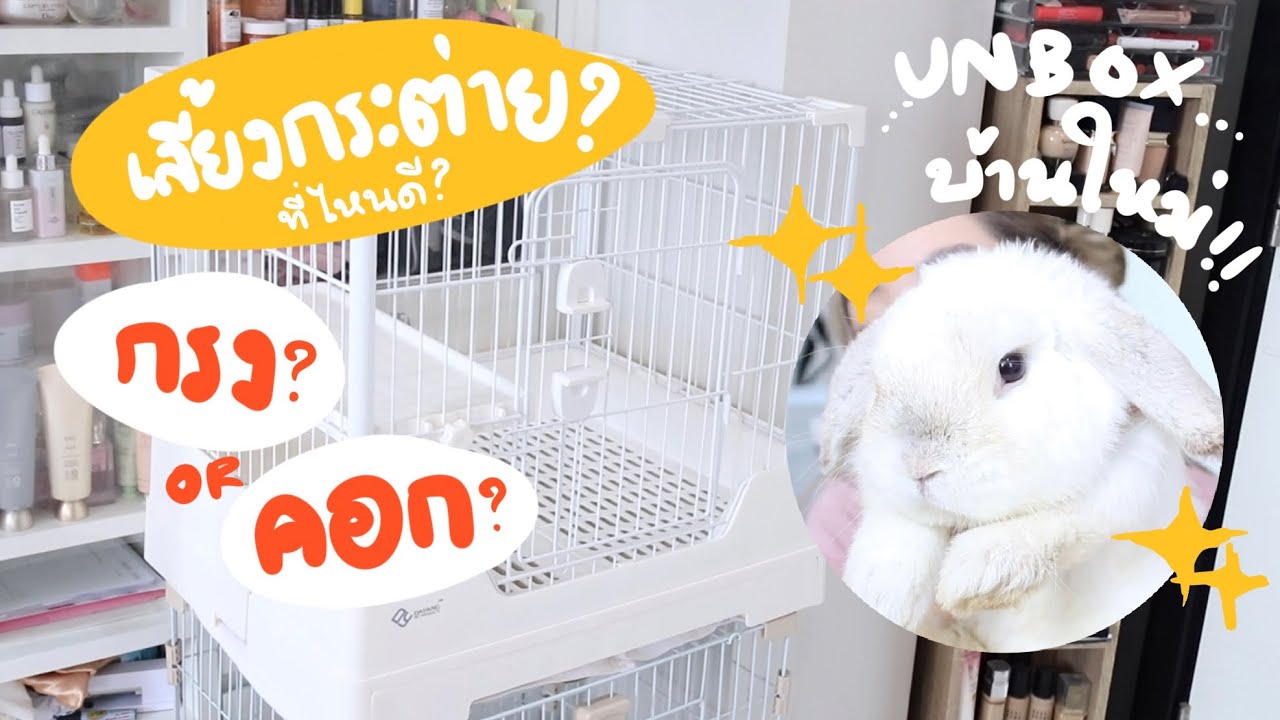 EP.35 เลี้ยงกระต่ายในกรงหรือในคอก? ดีกว่ากันนะ? #BunnyTTCoupe | Joyjee Loveberry
