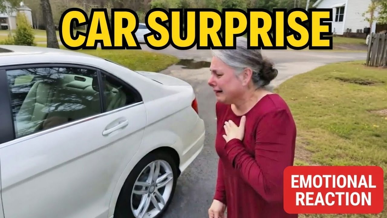 Best Of Car Surprise Moments Caught on Camera