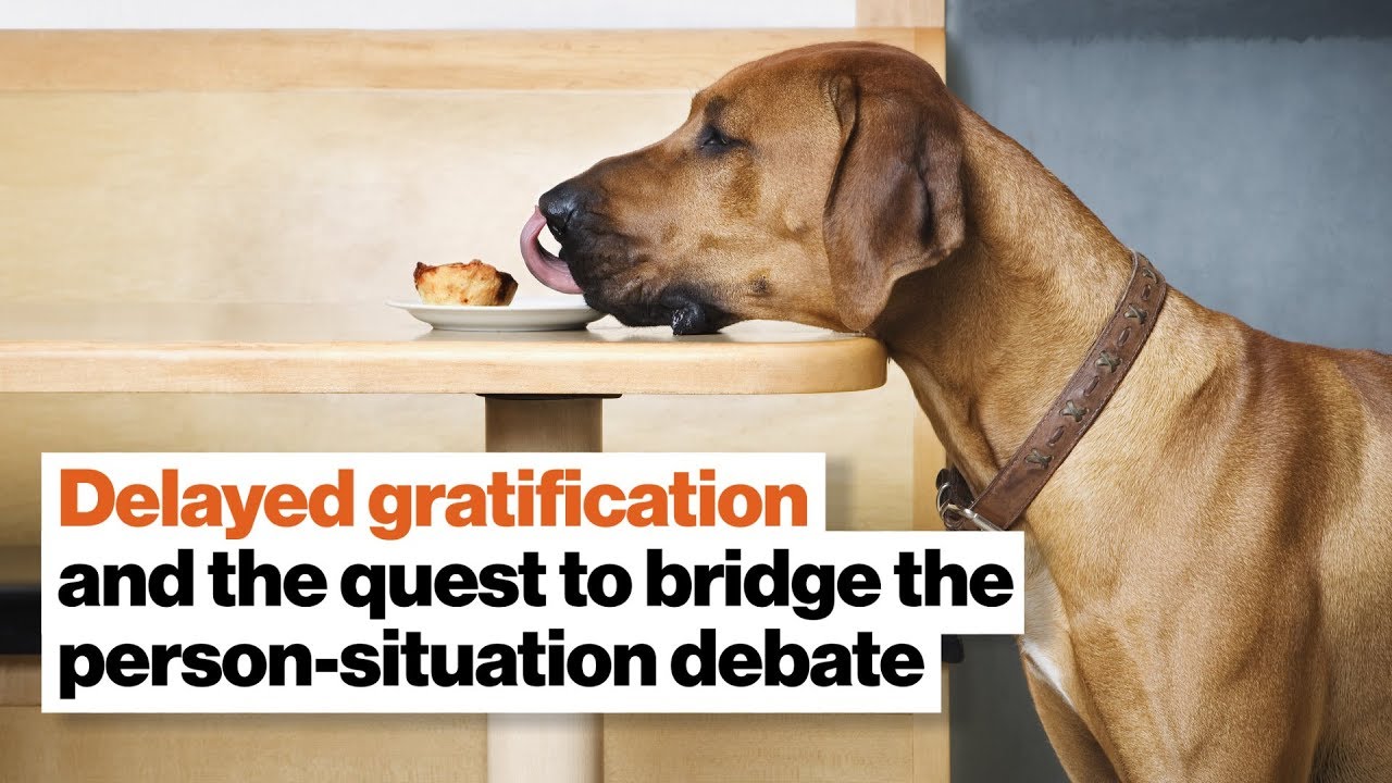 Delayed gratification and the quest to bridge the person-situation debate | David Epstein