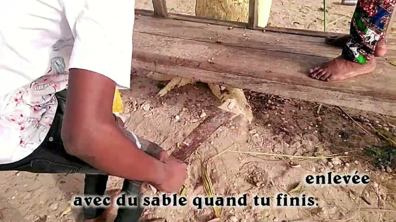 Un arbre, un être. Film de sensibilisation sur la protection des arbres et de leur croissance. 