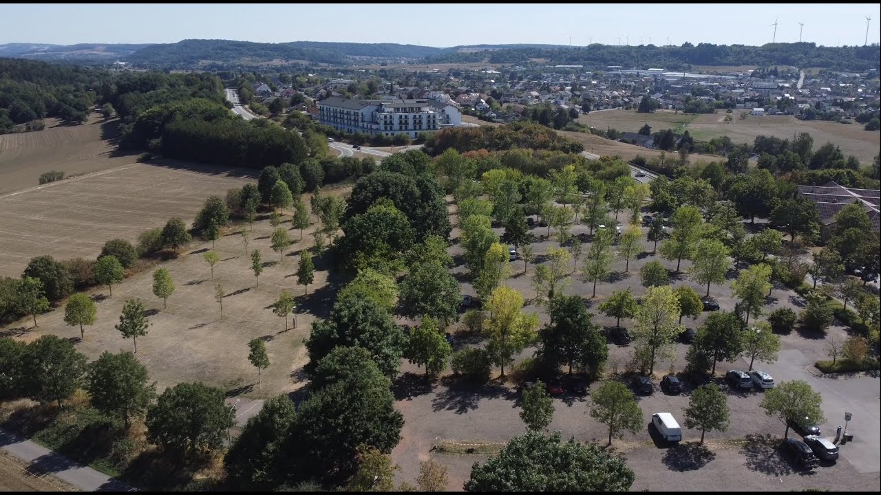 Losheim am See