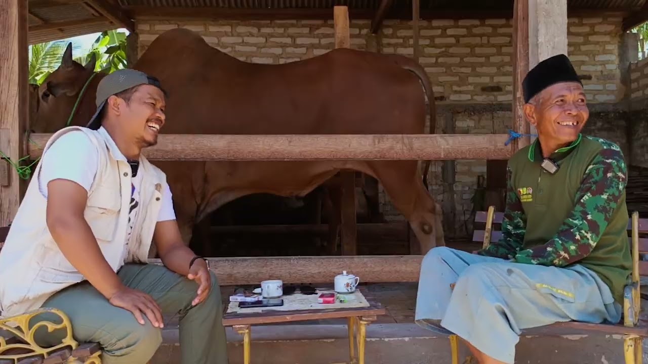 SAPI MADURA / KARAPAN SAPI TANGGHE'