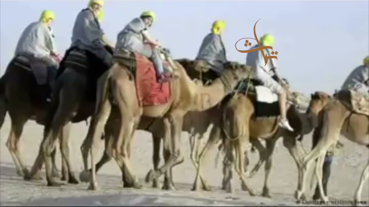 نغرة شيخي جلول و اسيادي طلوا