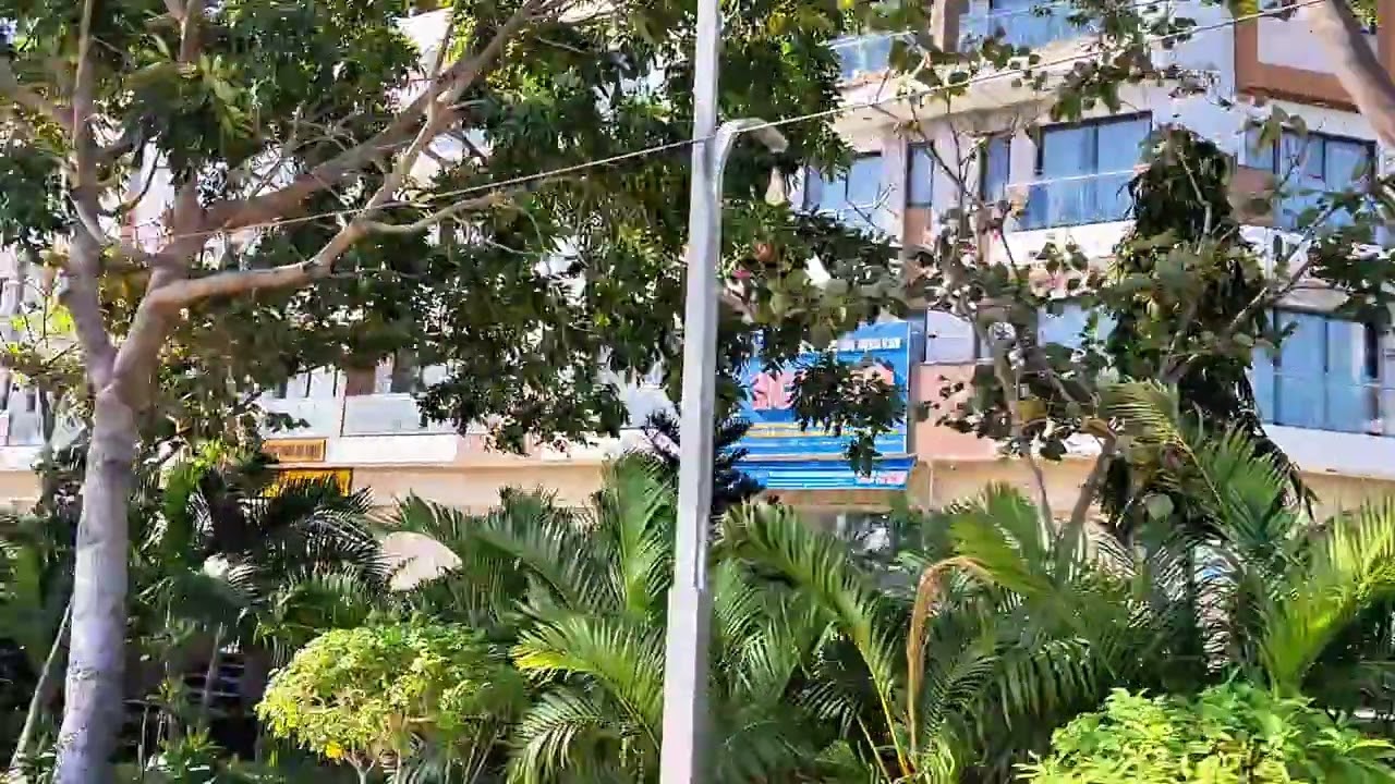 Một buổi sáng đẹp trời ở Phan Rang – khi công việc tạm đứng sau gia đình!