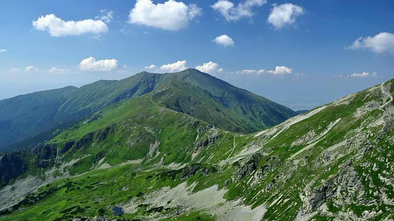 Baranec