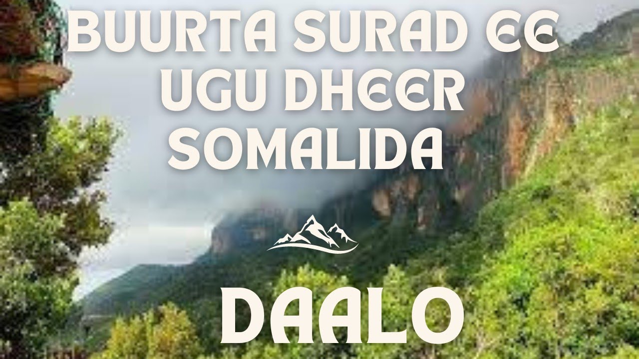 Daalo iyo Buurta ugu dheer dhulka somalida||SURAD