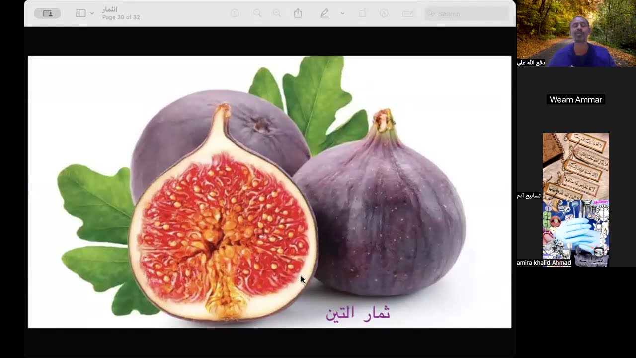 تكملة الثمار و مقدمة البذور | أحياء | حصص الشهادة السودانية