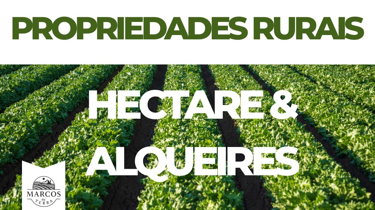 Chácara, Sítio e Fazenda: Hectares e Alqueires