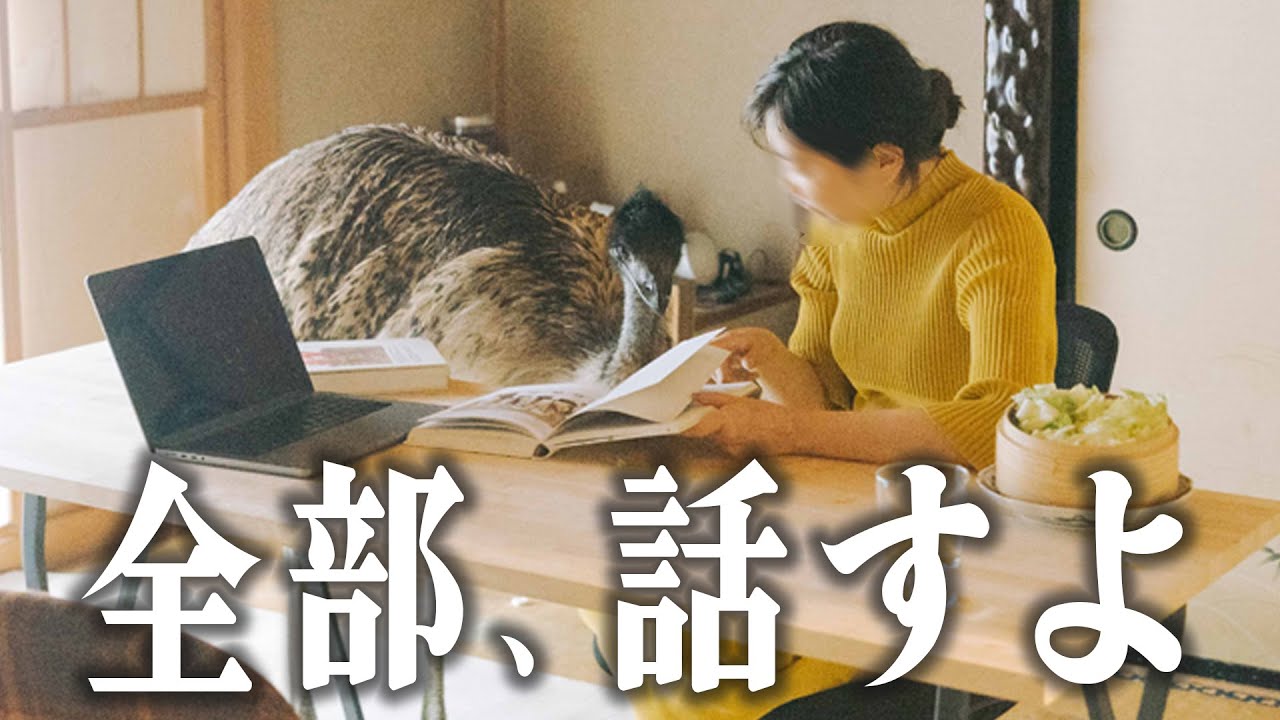 しばらく動画をお休みしていました。その時気付いた大切なこと。