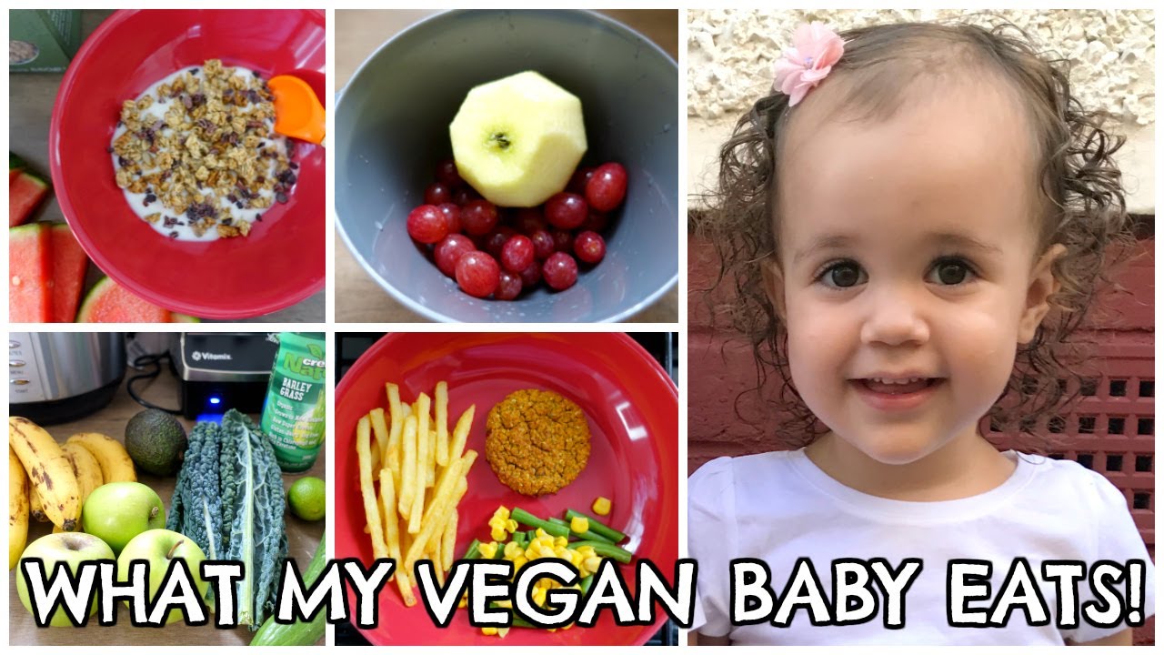 WHAT A VEGAN BABY EATS IN A DAY | OLIVE