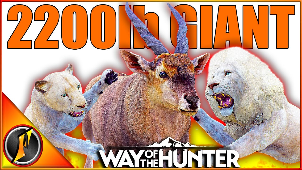 INSANE HUNT for the NEW ELAND! 5 Star + Rare Lion! | Way of the Hunter