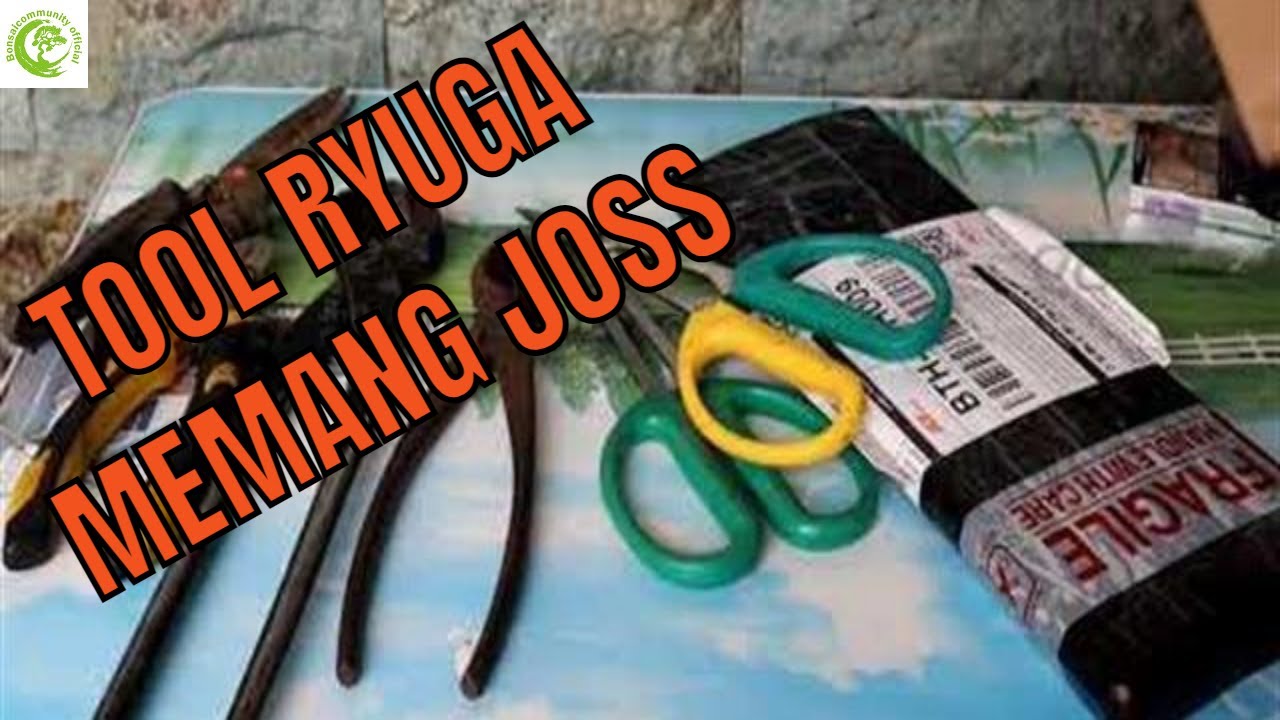 UNBOXING BONSAI TOOL RYUGA