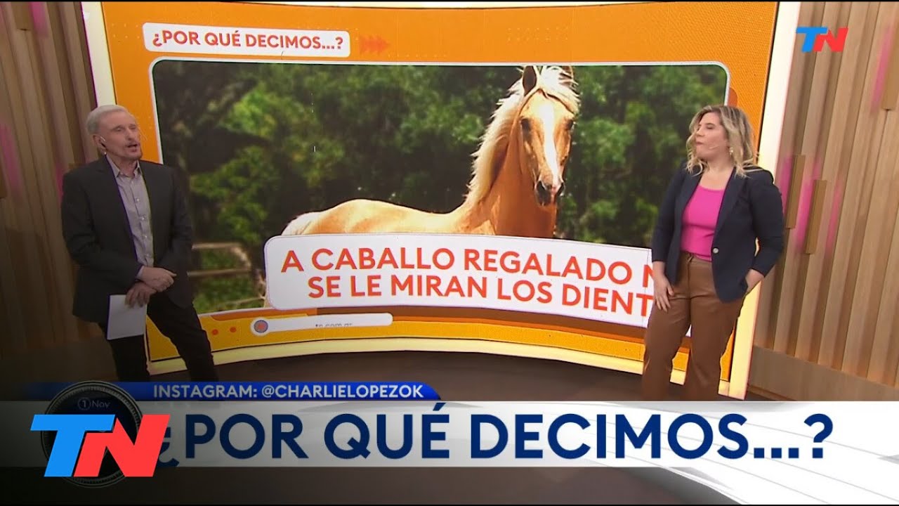 ¿POR QUÉ DECIMOS? I Hoy: Refranes de caballos por Charlie López