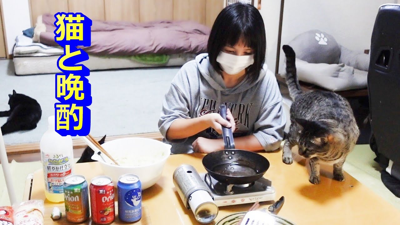 美容室に行った人間と猫の晩酌！夏限定の地ビール！