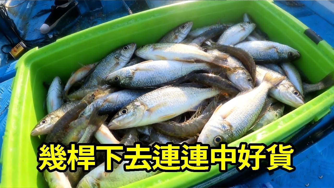 憋了好久終於出海！剛下竿連連中魚，幾條好貨直接回本，這趟值了！ 【莆農阿敏】