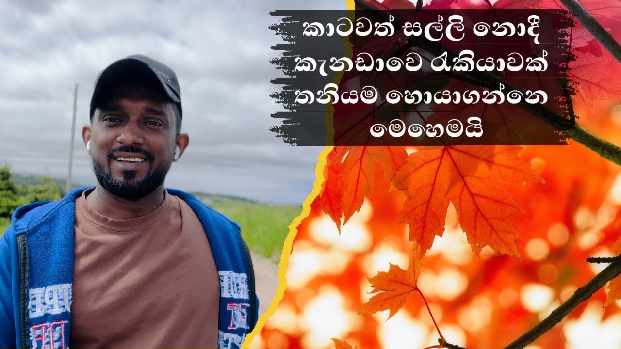 කාටවත් සල්ලි නොදී තනිවම කැනඩාවේ රැකියාවක් සොයාග  - How to find a job in Canada without giving money