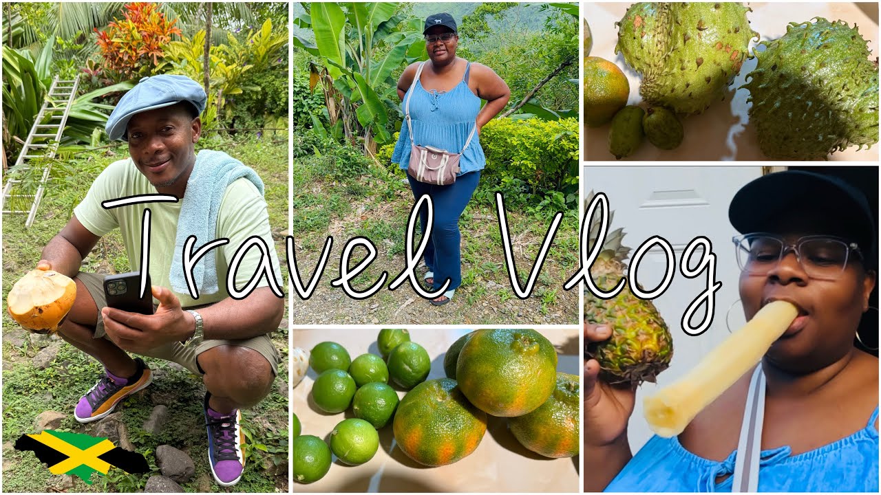Travel Vlog | We leave America for this | Hurricane Melissa aftermath 