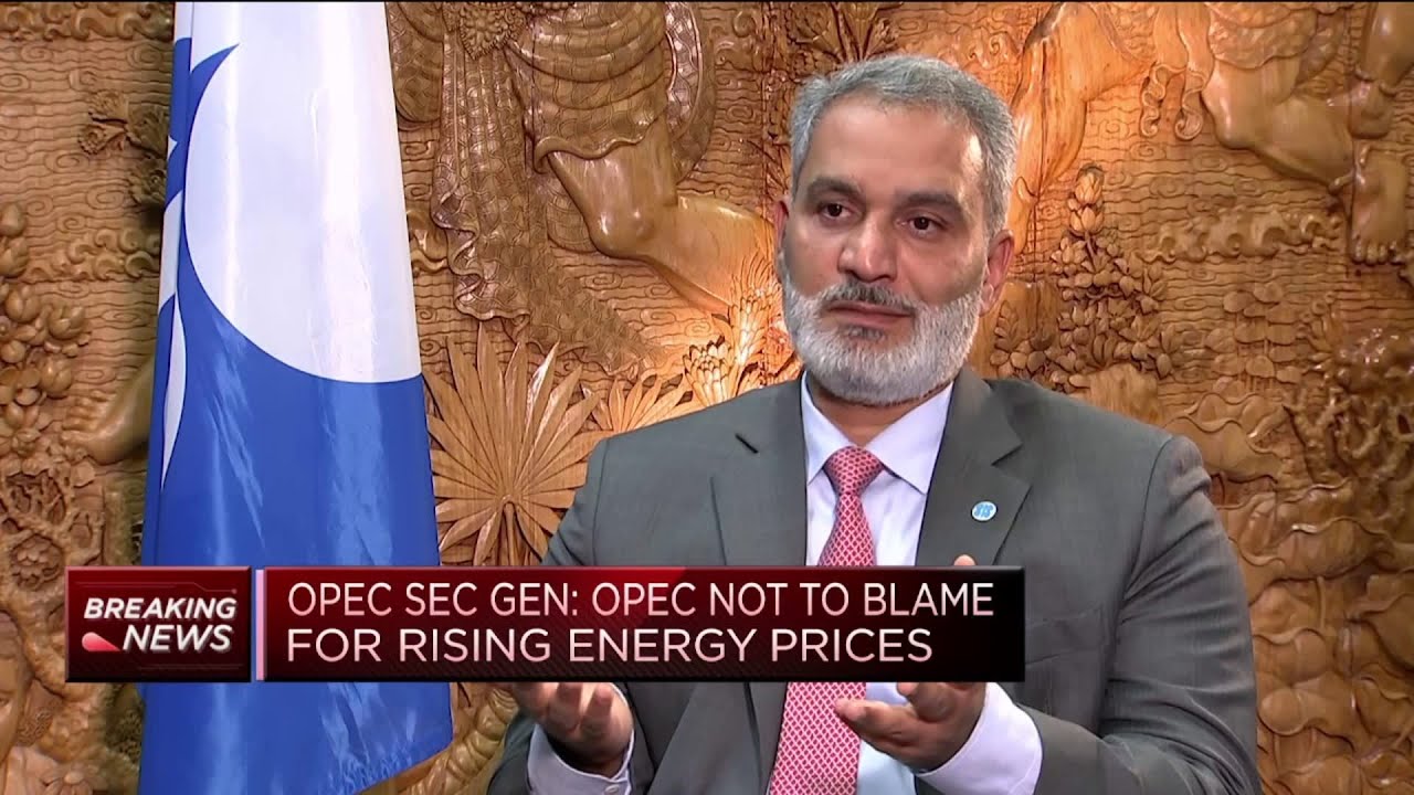 OPEC not to blame for soaring inflation, new secretary general says