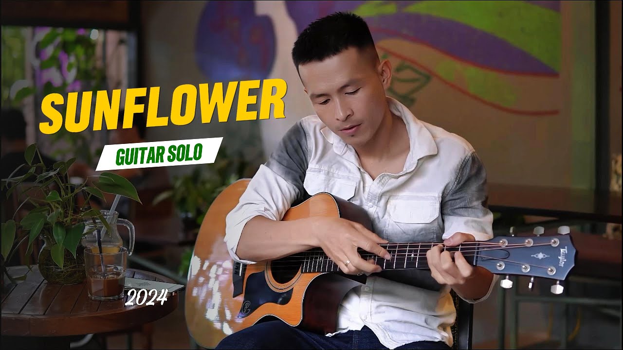 Sunflower - Paddy Sun | Fingerstyle Guitar Cover | Phong Guitar BMT
