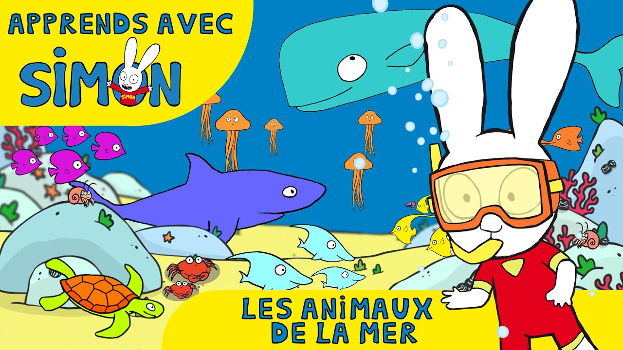 Simon - D&eacute;couvre les ANIMAUX de la MER avec SIMON [Officiel] Dessin anim&eacute; pour enfants
