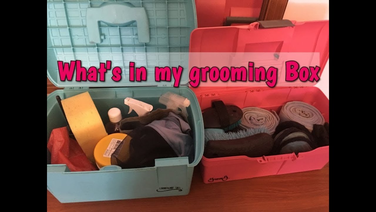 What's in my Grooming box - Summer Edition ☀ 🐴  | HORSE PLANET