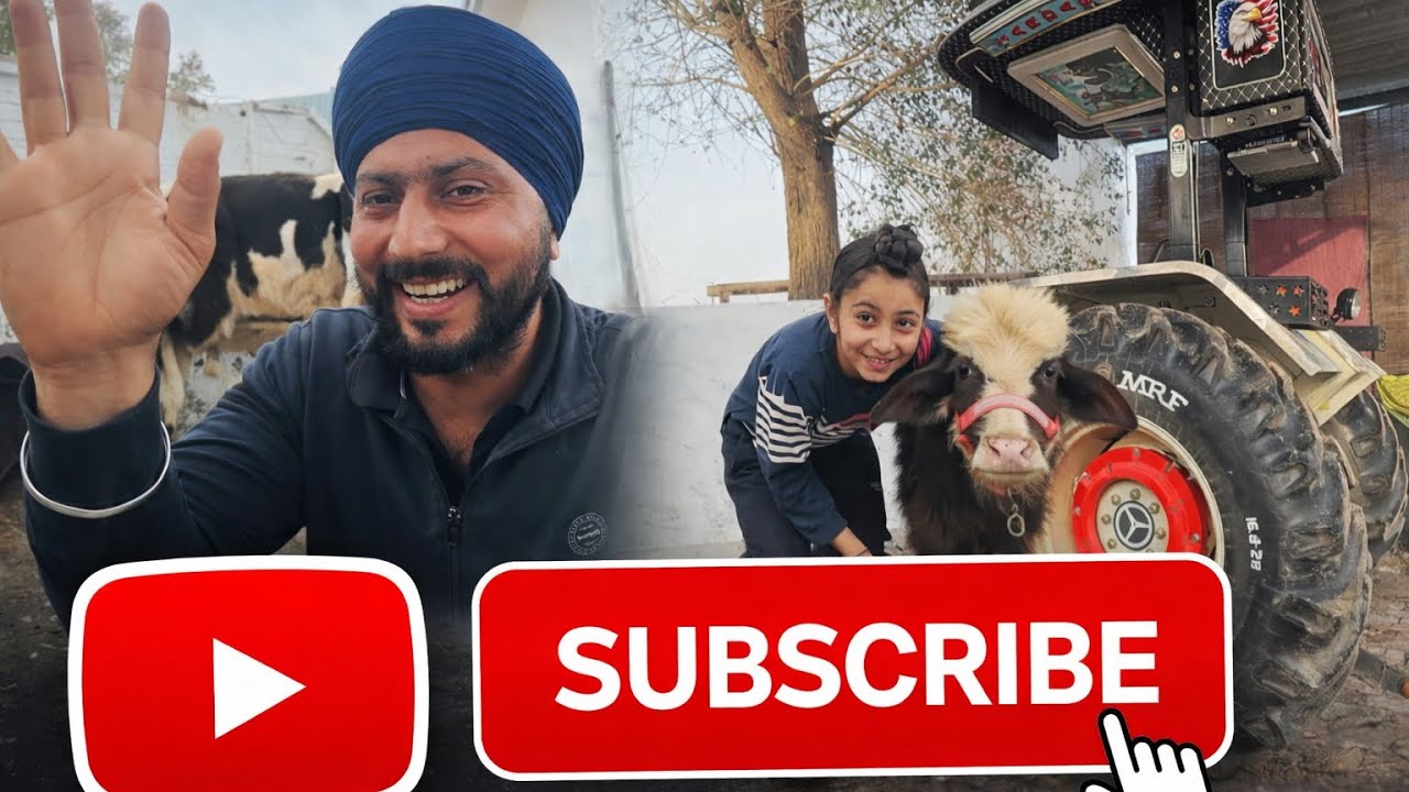 ਹਰਗੁਣ ਨੇਂ ਕੱਟੇ ਨੂੰ ਦੇ ਦਿੱਤਾ ਨਵਾਂ ਰੂਪ | ਟ੍ਰੈਕਟਰ ਦੇ ਟਾਇਰਾਂ ਵਿੱਚ ਭਰ ਦਿੱਤੇ ਰੰਗ | navy sardar vlogs