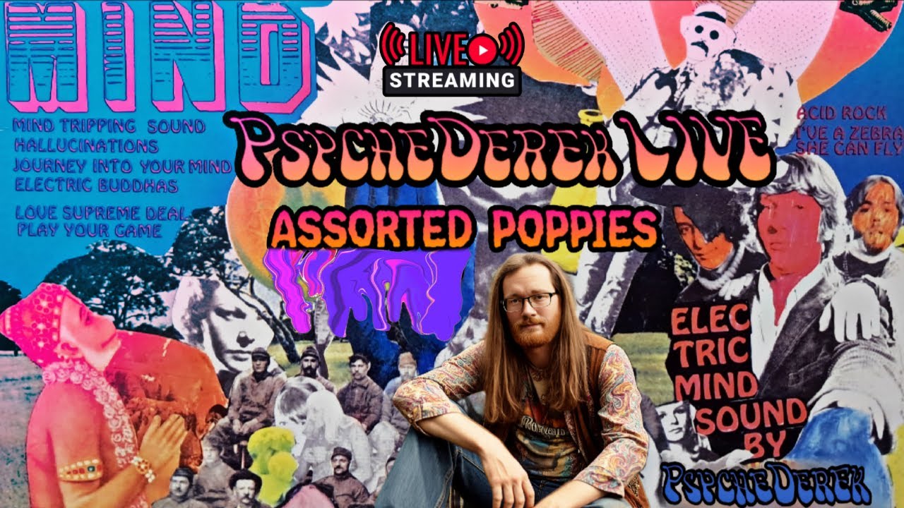 PsycheDerek LIVE: Assorted Poppies #4