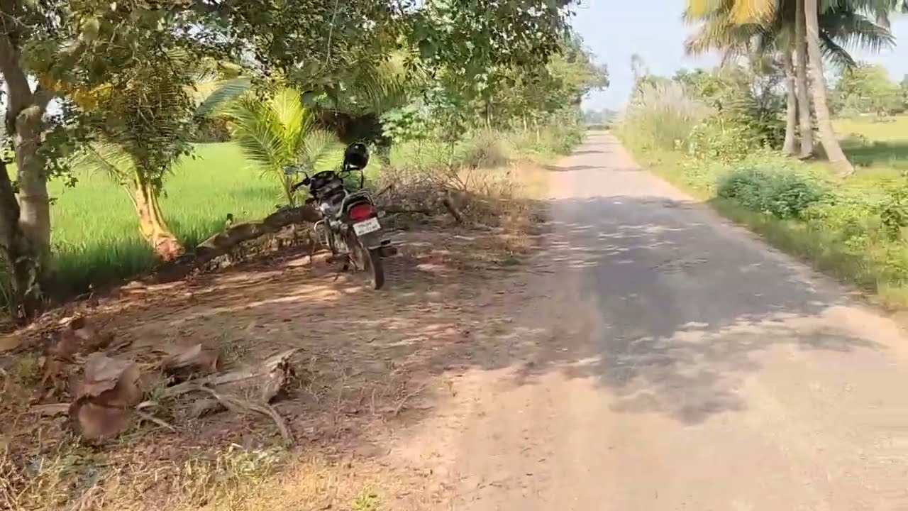 TOTAL PRICE 12.50-LAKHS AREA 33/CENT PUNJAI AGRIC LAND LAND THANJAVUR TO MANNARGUDI CUT ROAD 4/KM