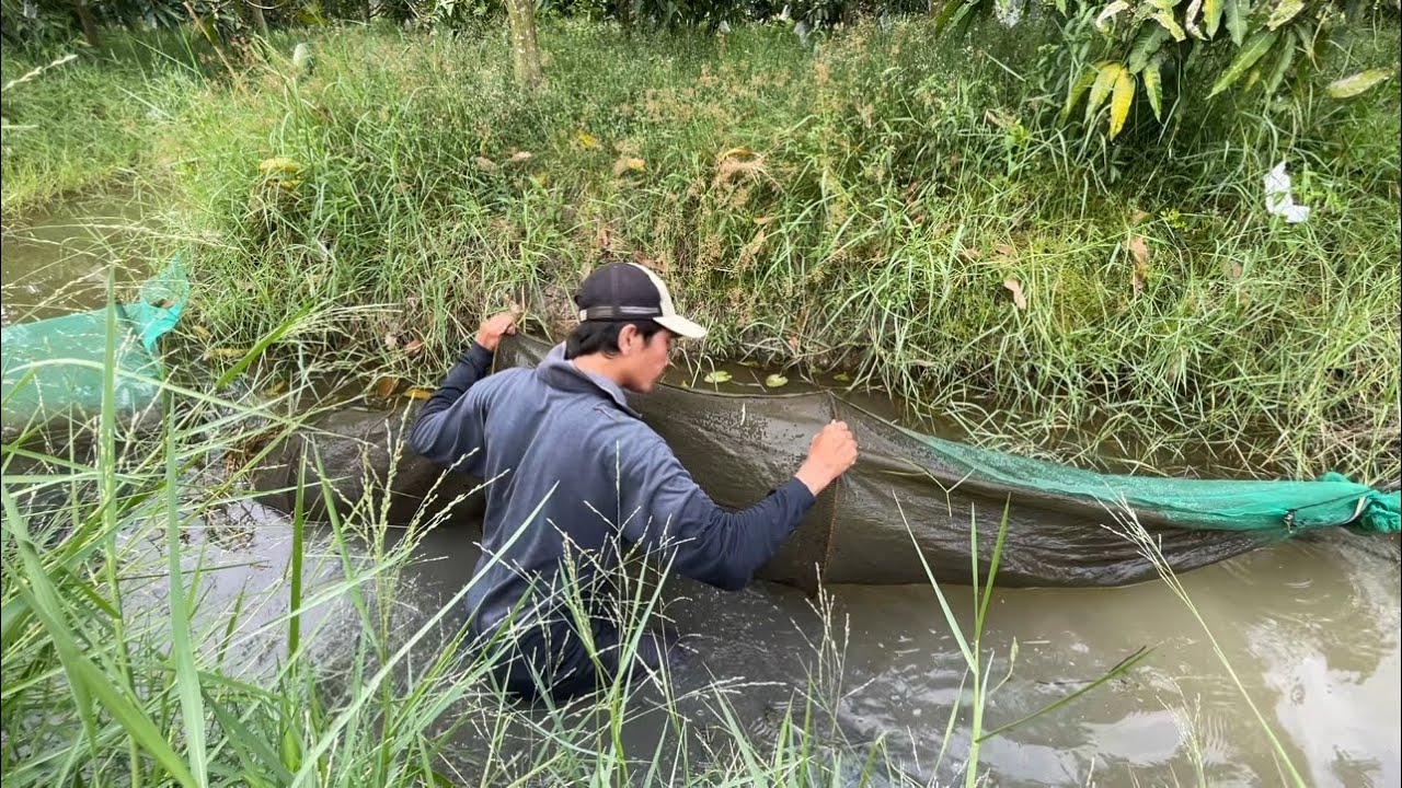 Thử Th&aacute;ch Phản Ứng Balaxong Khi Gặp T&ocirc;m Khủng V&agrave; C&aacute;i Kết | Hunting | - TT1605