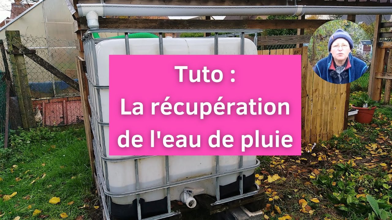 Récupérer l'eau de pluie, conseils et astuces