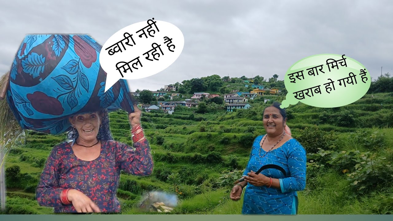  ||ज्यादा बारिश के कारण खराब हुई गाँव मे सभी की मिर्च 🥺🤦🏻‍♀️||जसवंतगढ़ जिला गठन की मांग क्यों ?🤔👍||