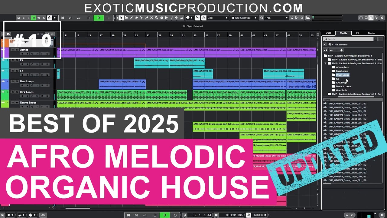 Top 10 Afro Melodic Organic House Sound Packs / Sample Packs of 2025 | PART 1/2 - UPDATED LIST