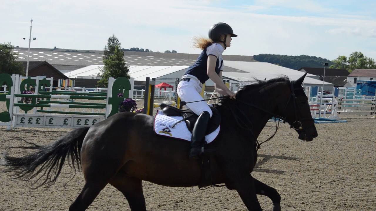 Vileva ll- Arena UK, Foxhunter [4th]