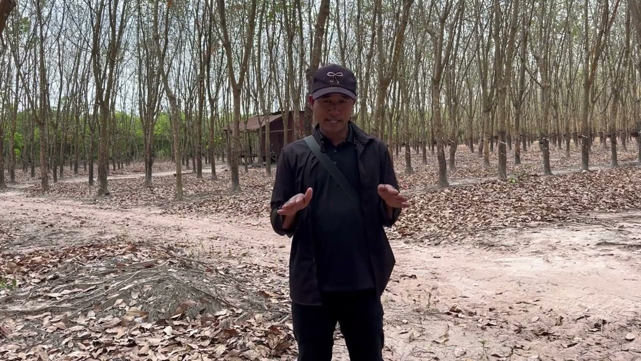 ផ្ទះល្បីថាខ្មោចលង