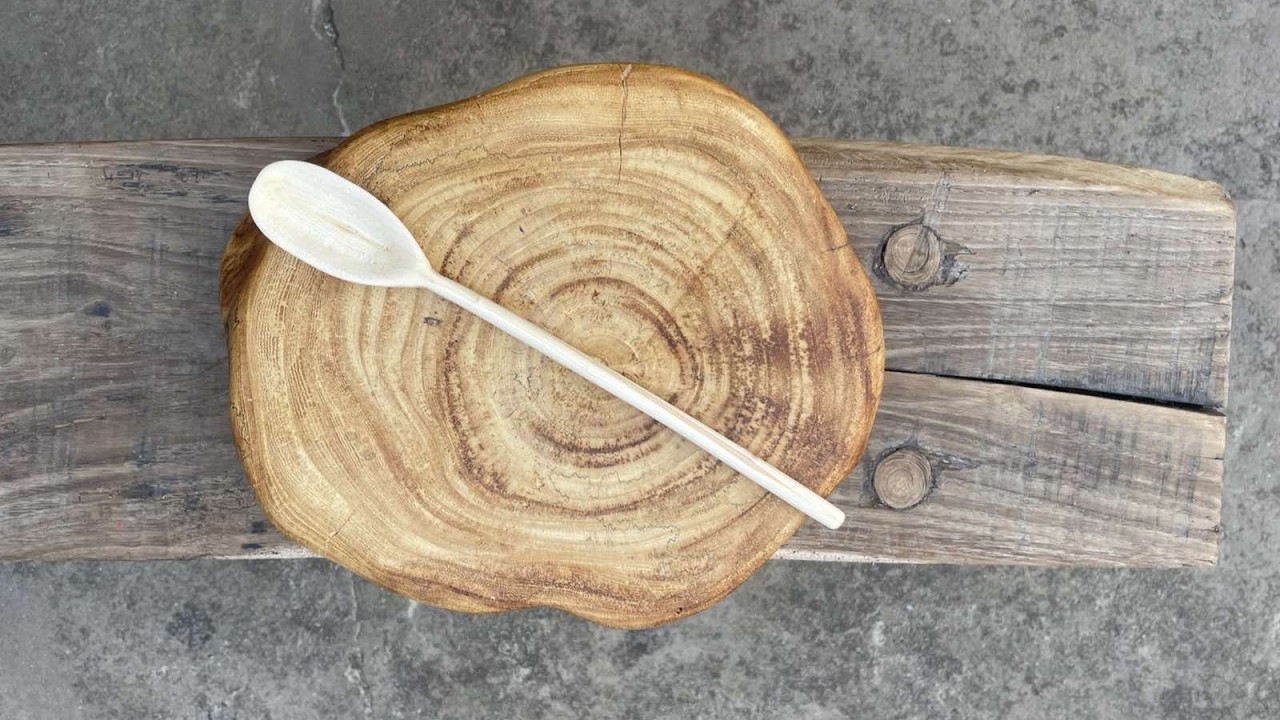 @26 - Snow adventure, DIY wooden spatula, DIY wooden board, baking sweet bread, Kale pesto, cats