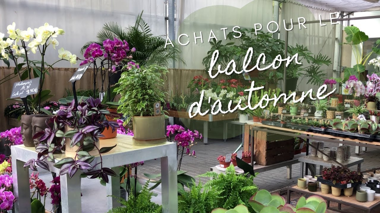 On refleurit le balcon pour l'automne
