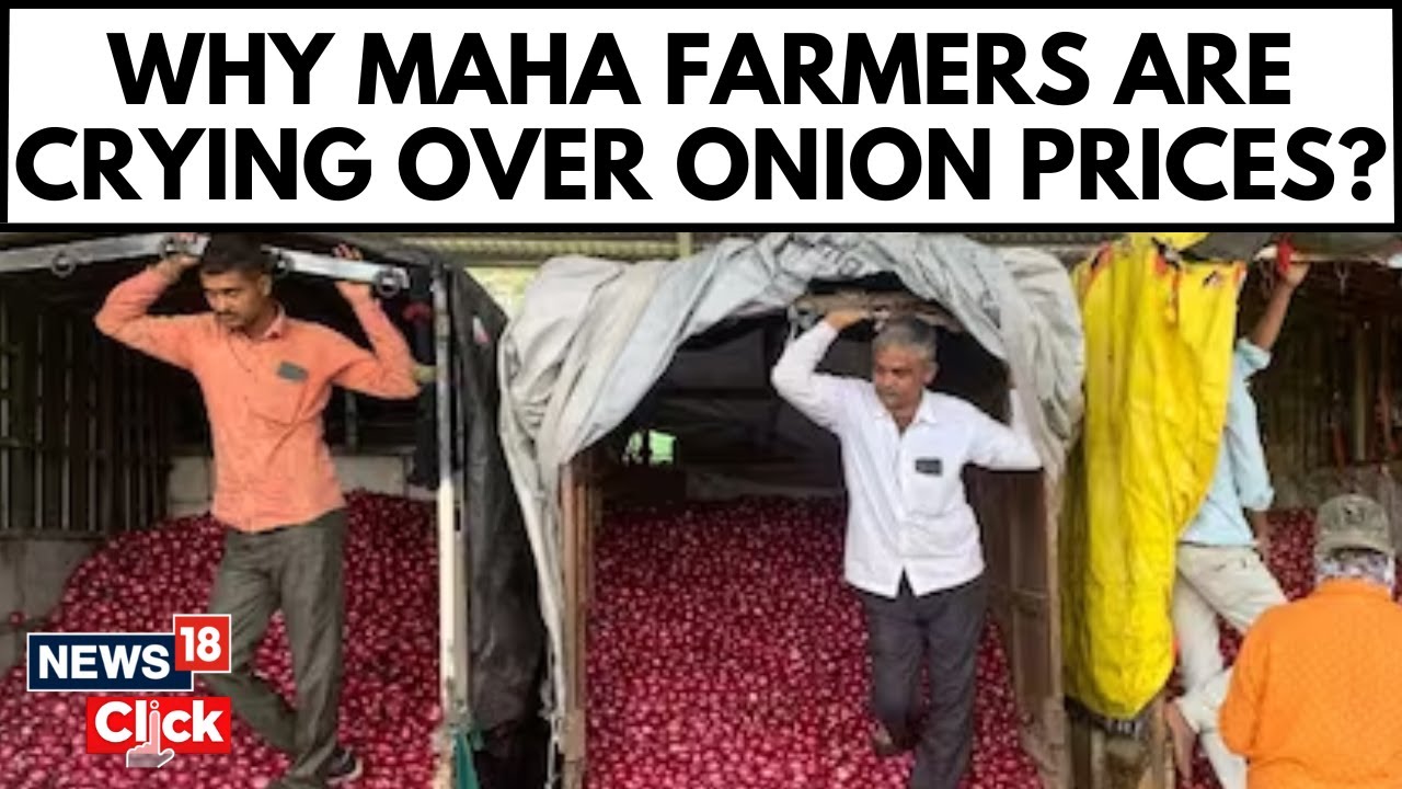 Peeling Away the Layers: Why Maharashtra Farmers Are Crying Over Onion Prices | News18
