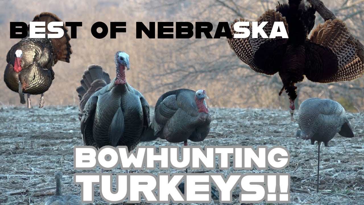 OUR FAVORITE NEBRASKA TURKEY HUNTS | The Wild Outdoors |
