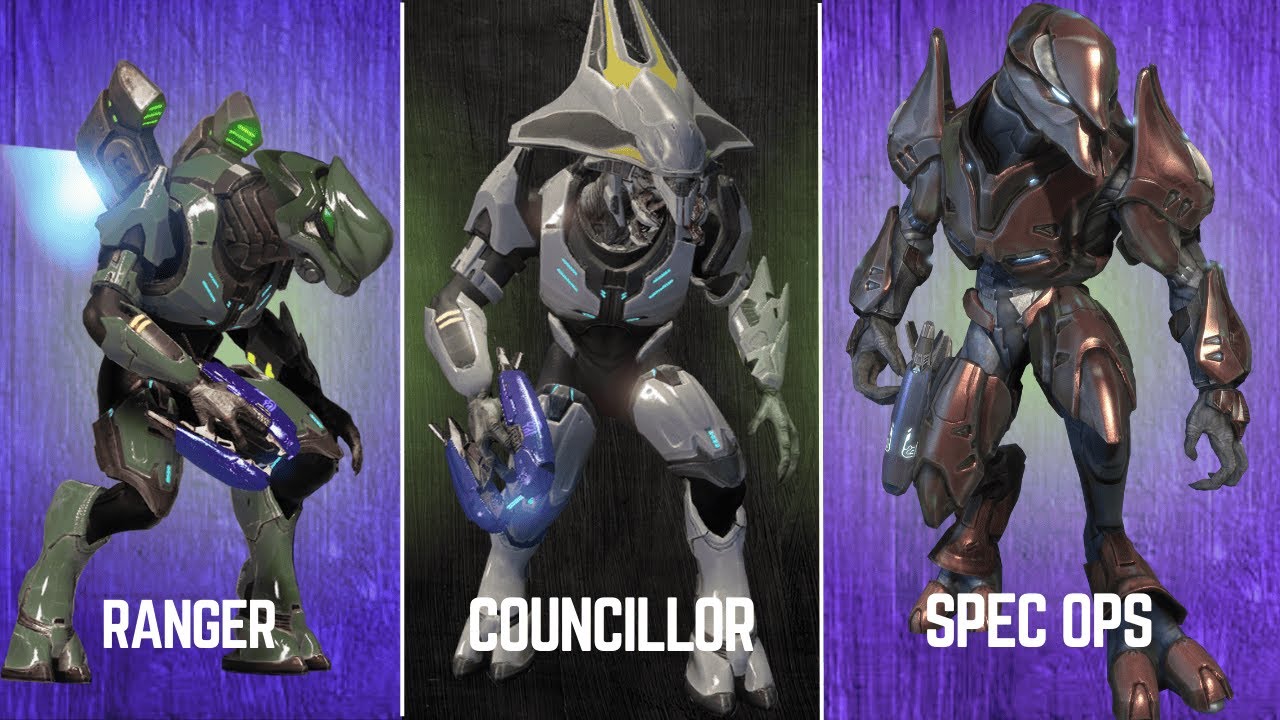 EVERY SINGLE covenant elite rank EXPLAINED!