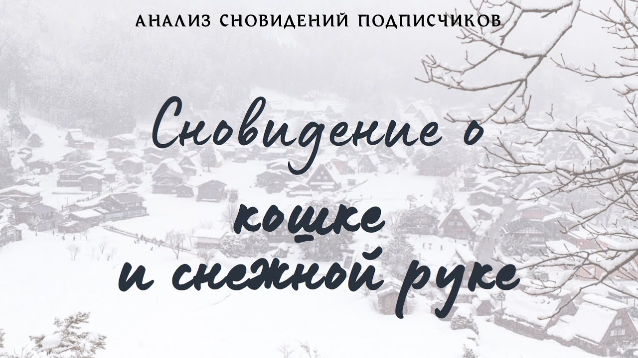 Сновидение о кошке и снежной руке