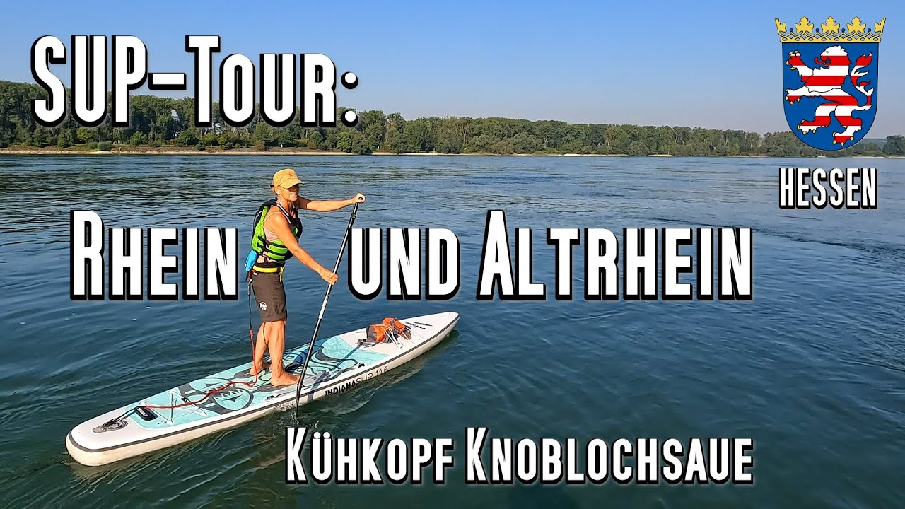SUP-Tour: Kühkopf Knoblochsaue, 22,5km auf Altrhein über Rhein, Hessen. auch für Kanu, Kajak, SUP