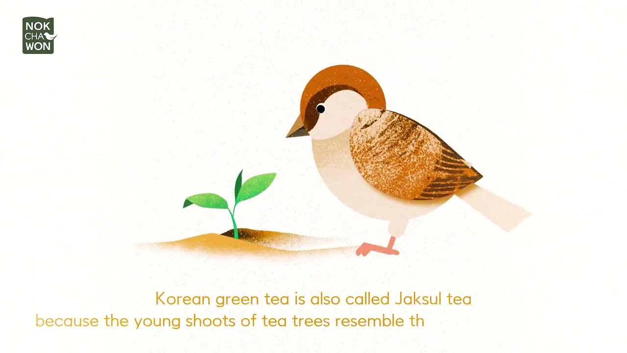 'Delicious Green tea JAKSUL' story | NOKCHAWON | 绿茶园 雀舌 [ENG SUB]