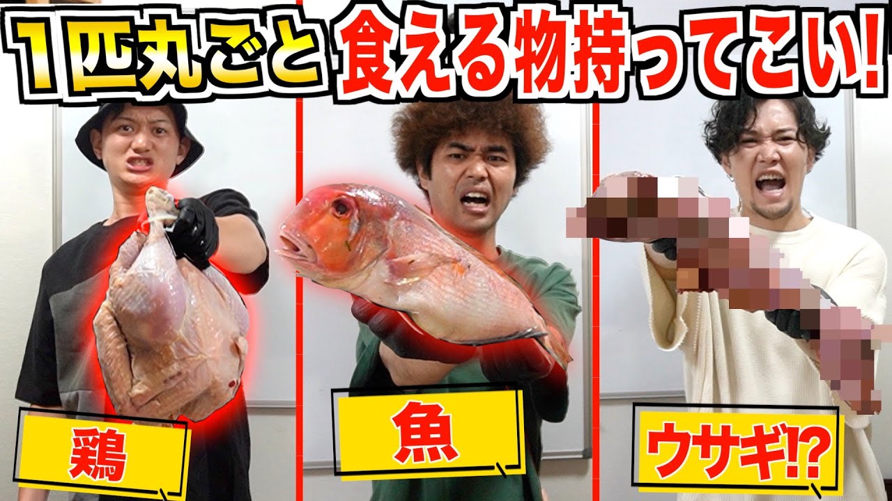 【大食い✖️早食い】1匹丸ごと捌いて食える物もってこい！！