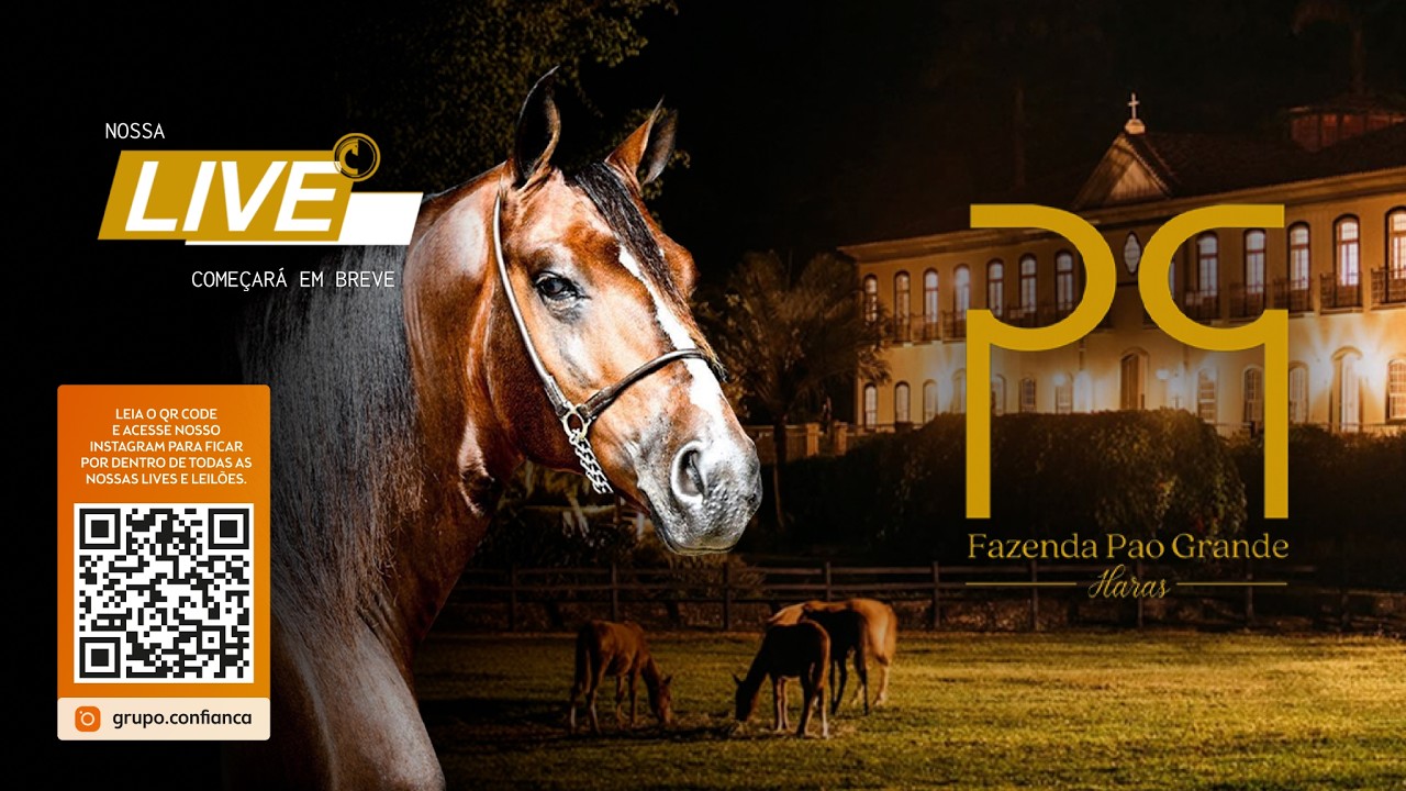 Live de Criação - Haras Pao Grande